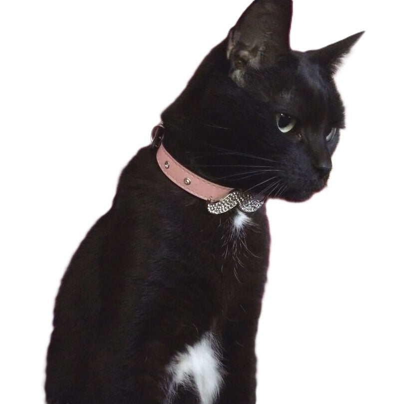 Collar Rhinestone Moustache