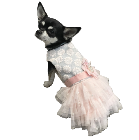 Dress Formal Sparkly Silver Pink Sash and Pearls