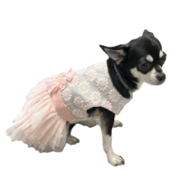 Dress Formal Sparkly Silver Pink Sash and Pearls