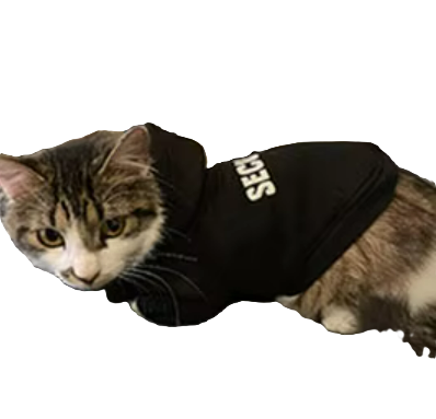 Hoodie Fleece Black Security V2