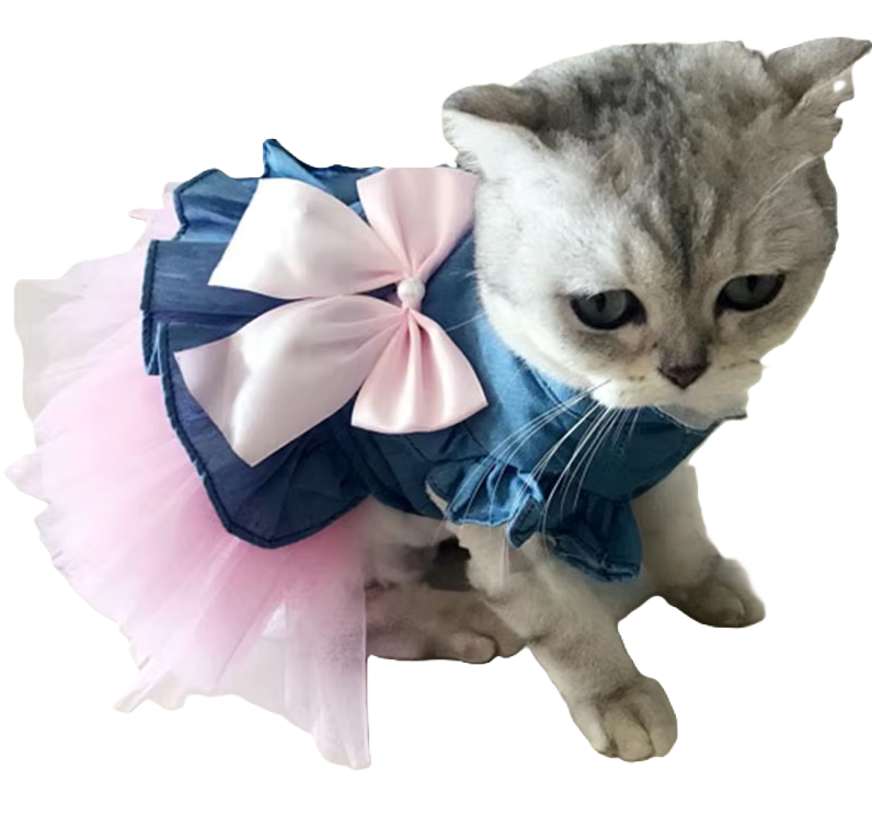 Dress Soft Denim and Tulle Skirt with Bow