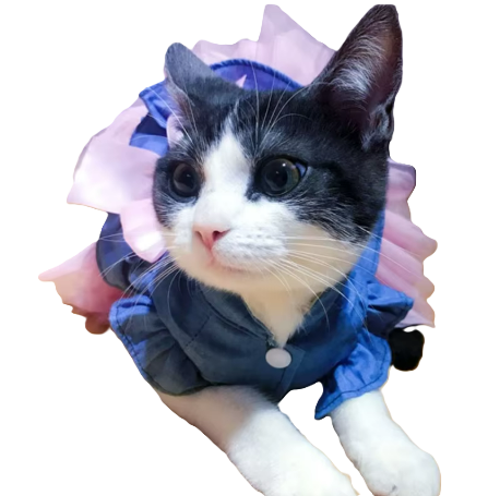 Dress Soft Denim and Tulle Skirt with Bow