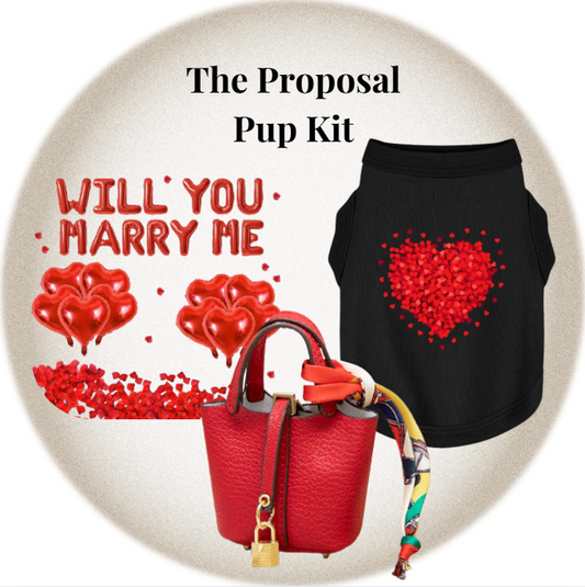 Red handbag, black dog vest with red heart design, and 'WILL YOU MARRY ME' text on a white background.