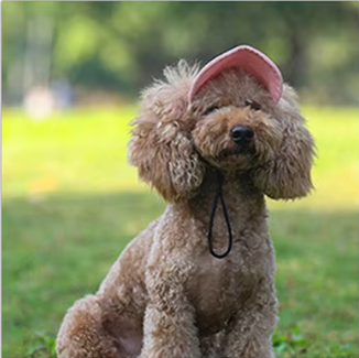 Cap with Heart Ear Holes & Chin Strap