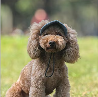 Cap with Heart Ear Holes & Chin Strap