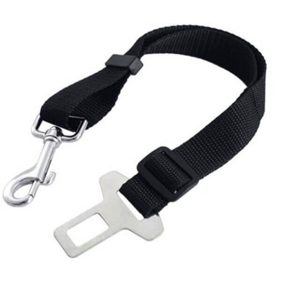 Car Harness with Restraint Belt
