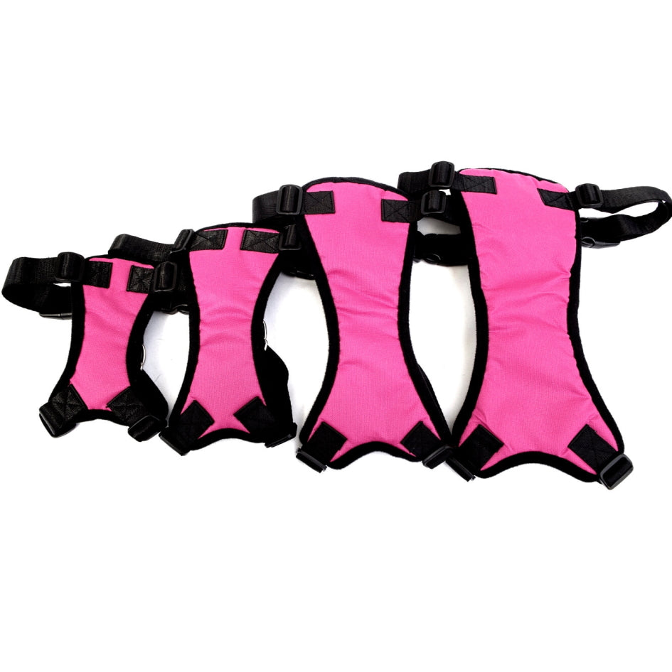 Car Harness with Restraint Belt