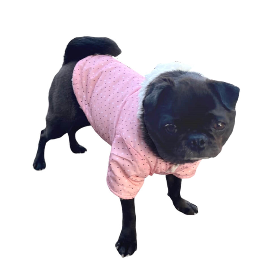 Coat Posh Parka Hoodie