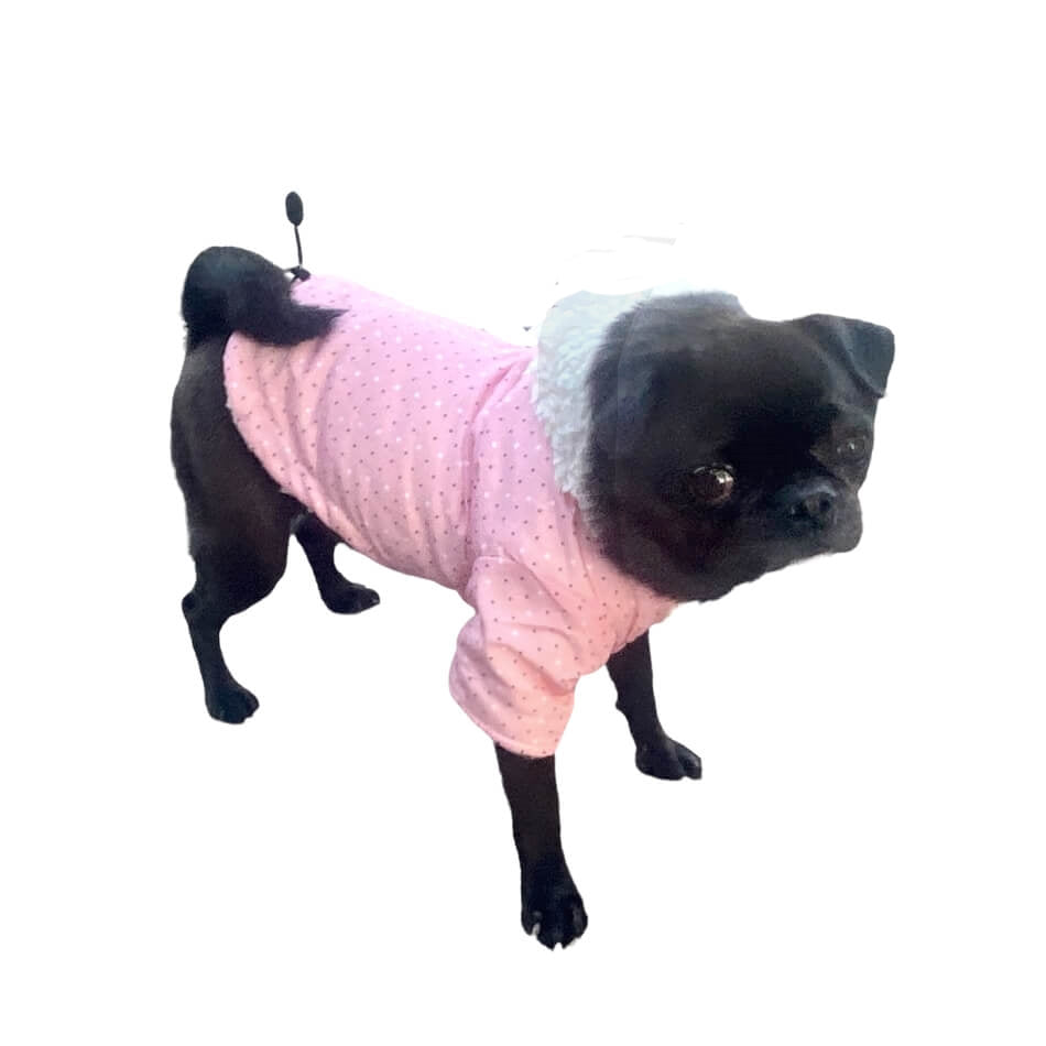 Coat Posh Parka Hoodie