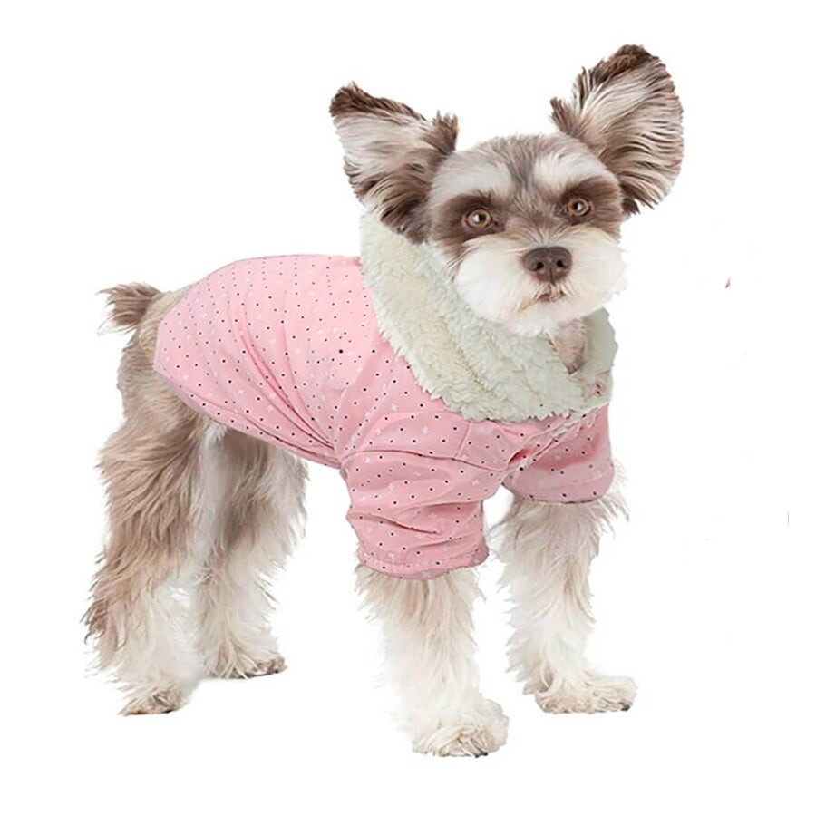 Coat Posh Parka Hoodie