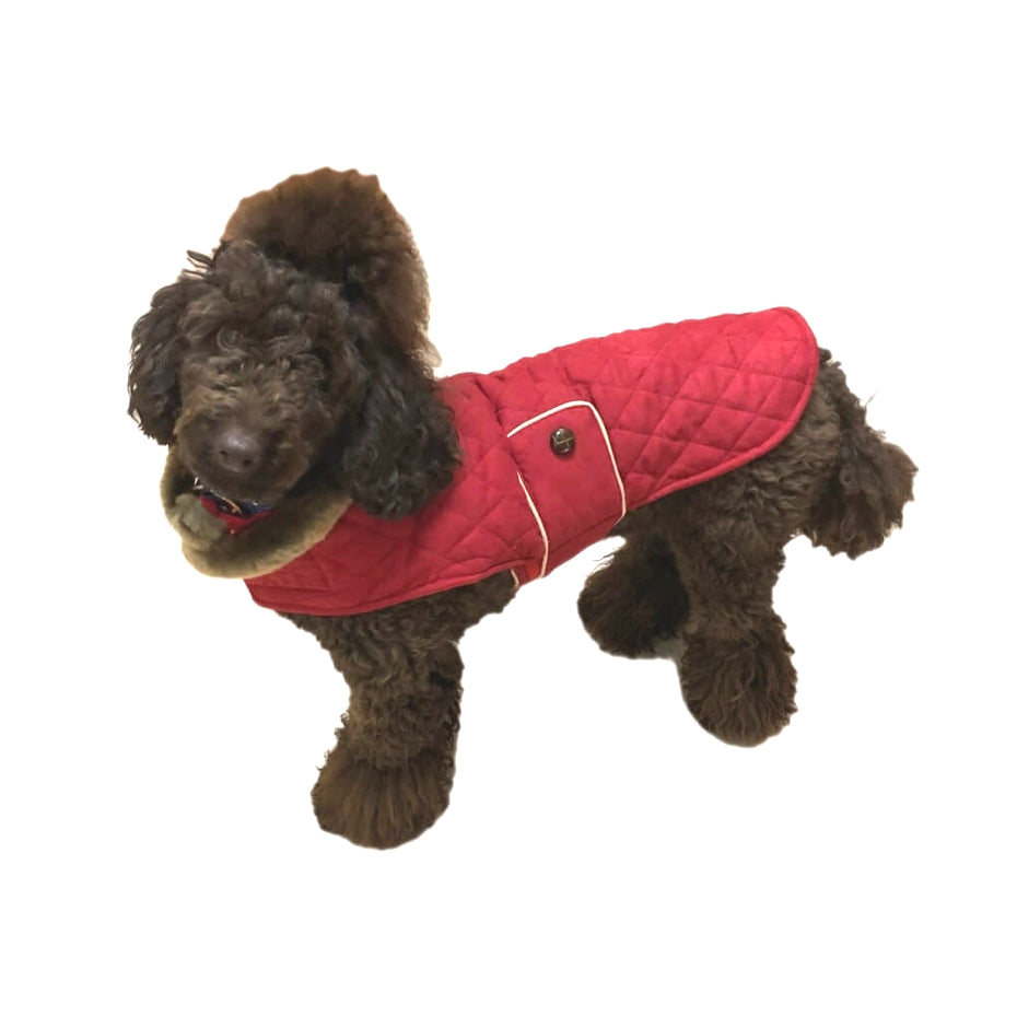 Coat Red Faux Fur Collar