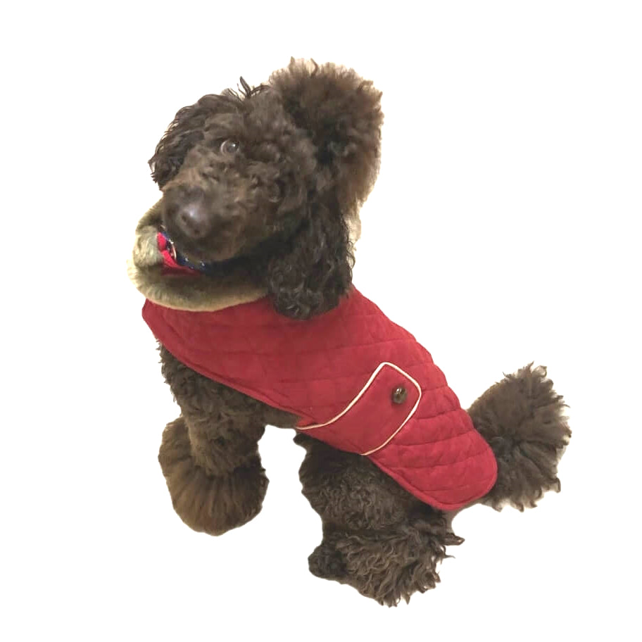 Coat Red Faux Fur Collar