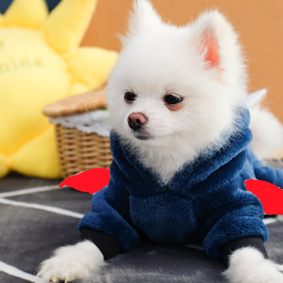 Jumpsuit Blue Shark