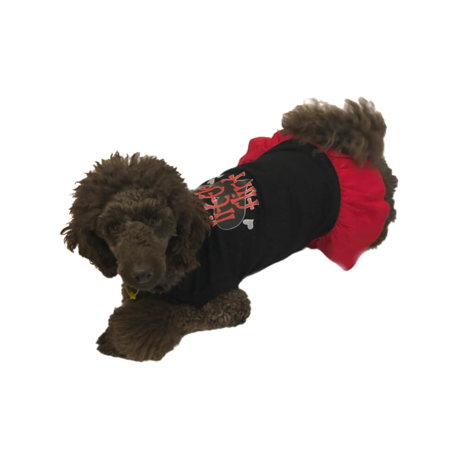 Dress Black Little Flirt