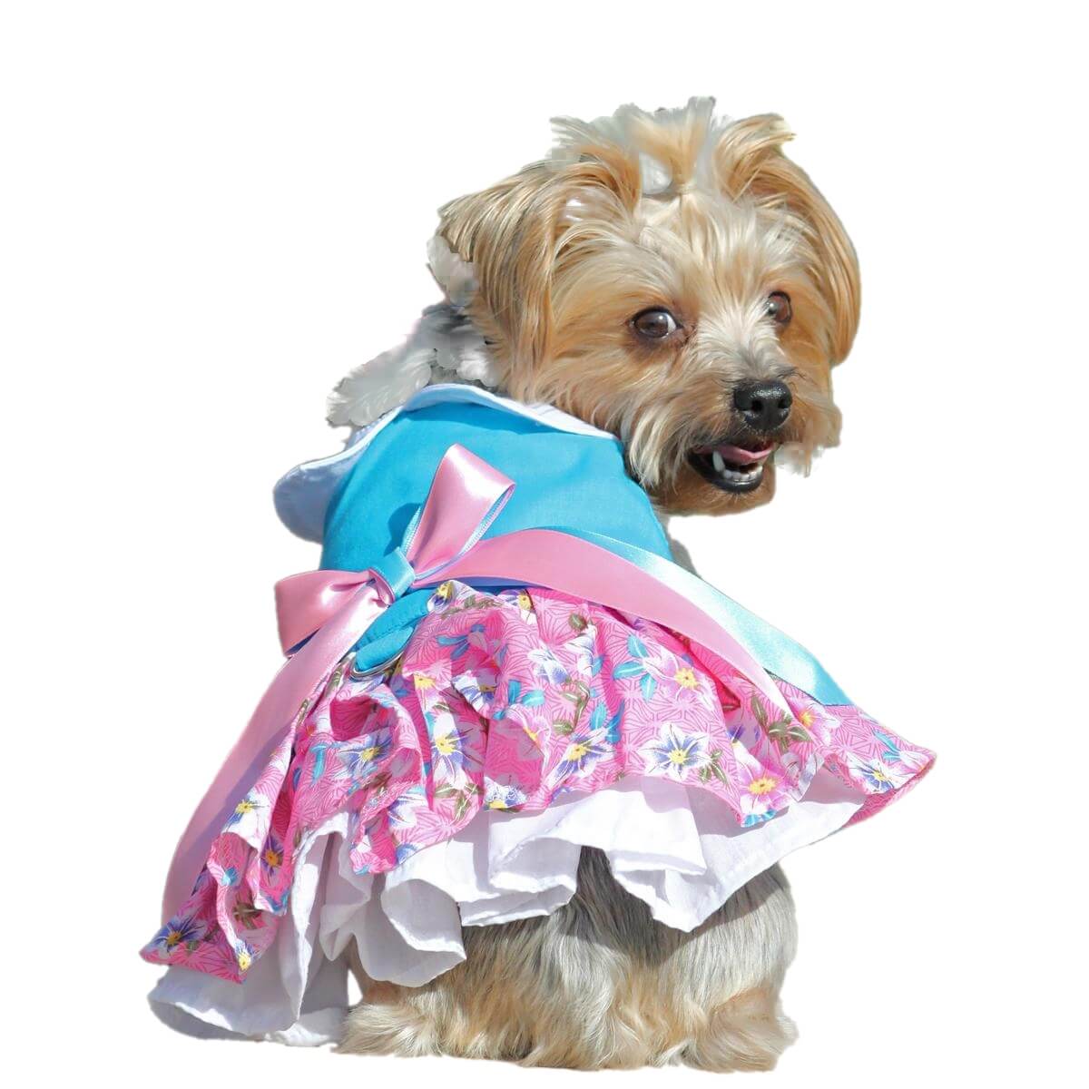 Dress Fabulous Floral with Matching Lead