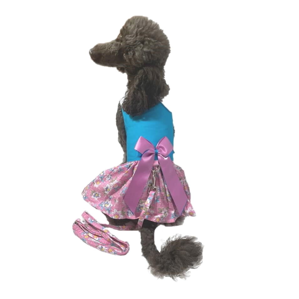 Dress Fabulous Floral with Matching Lead