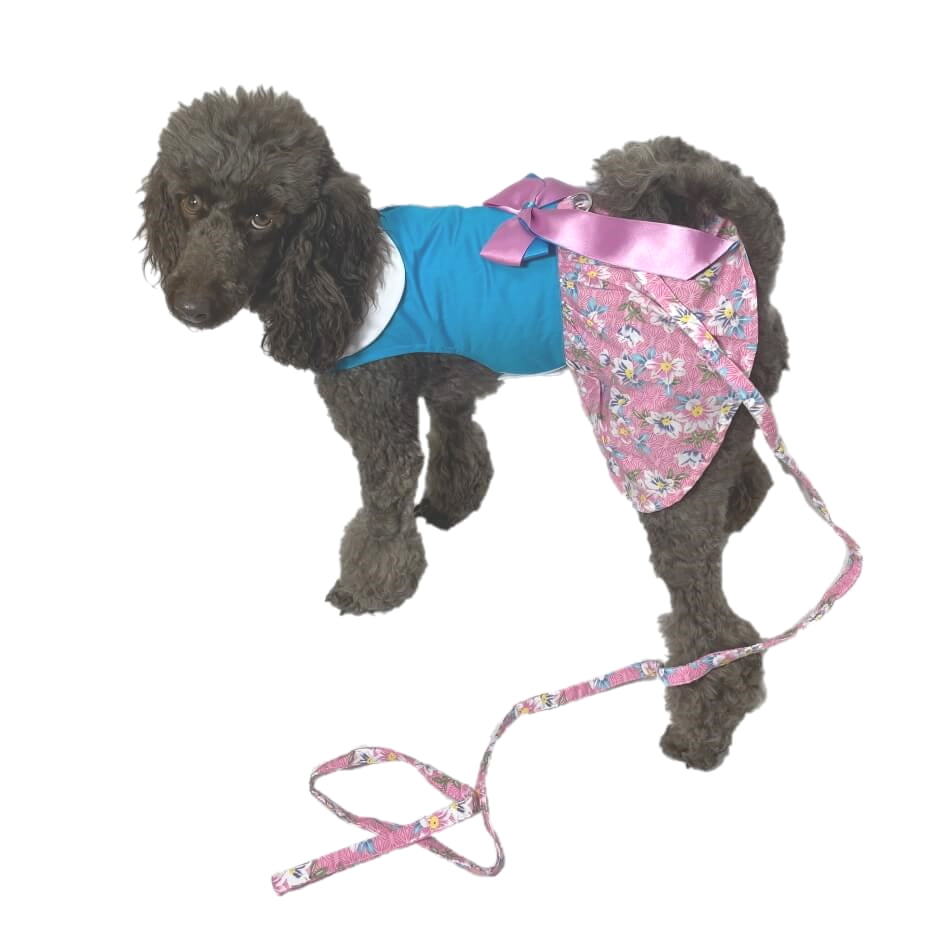 Dress Fabulous Floral with Matching Lead