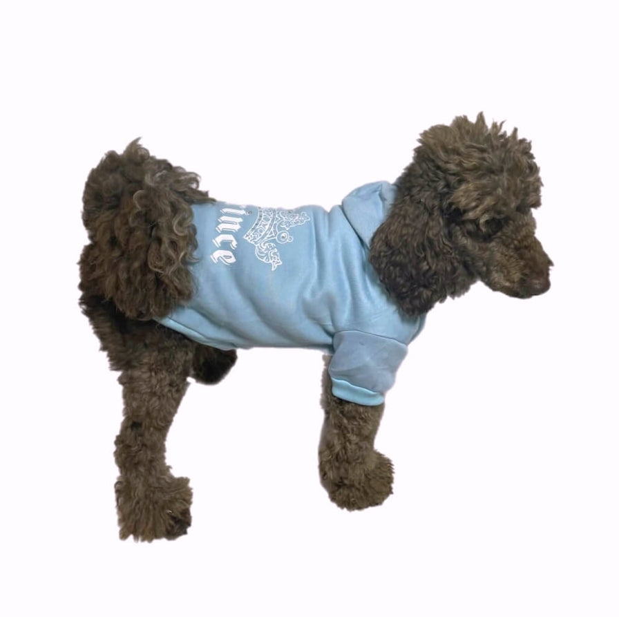 Hoodie Fleece Blue Rhinestone Prince