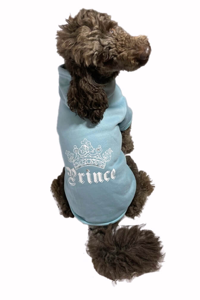 Hoodie Fleece Blue Rhinestone Prince