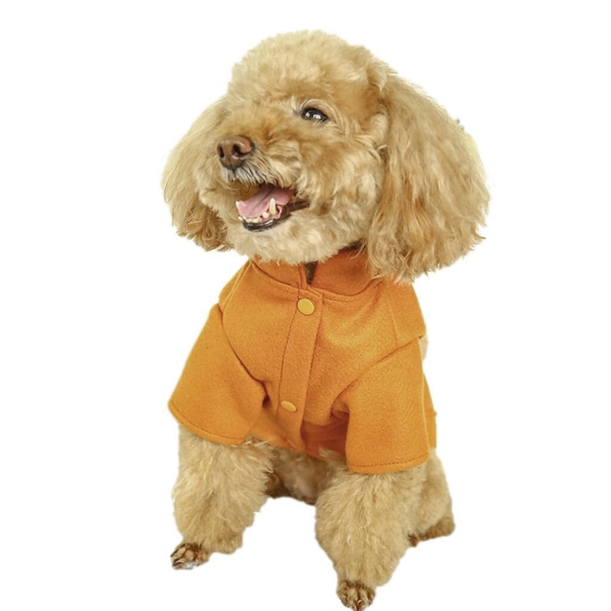 Coat Fleece Plush Lion