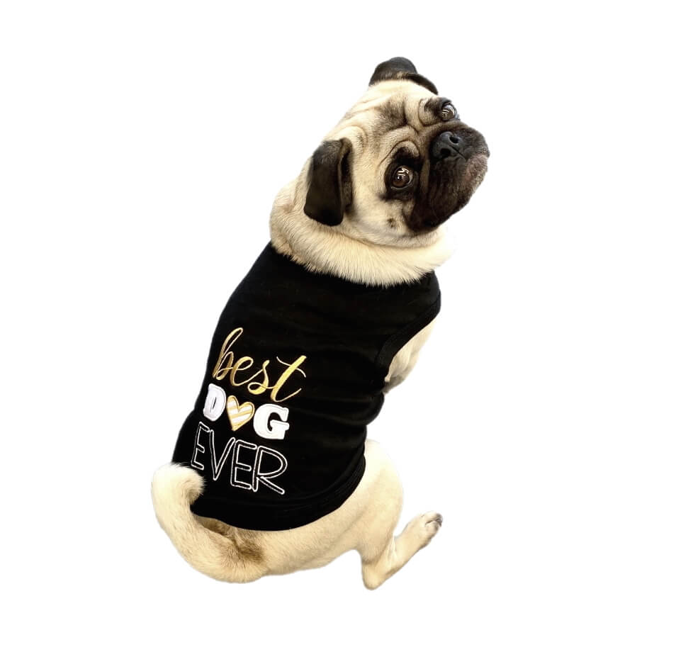 Shirt Black Best Dog Ever