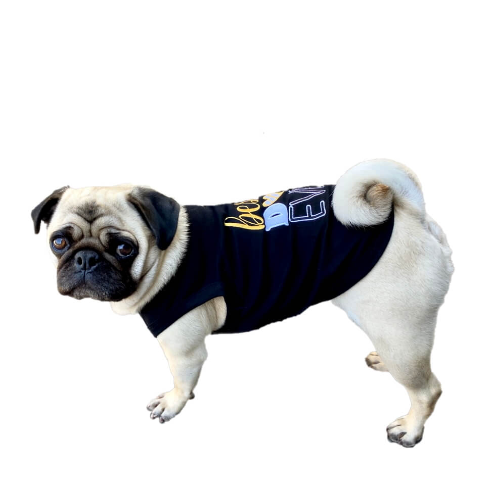 Shirt Black Best Dog Ever