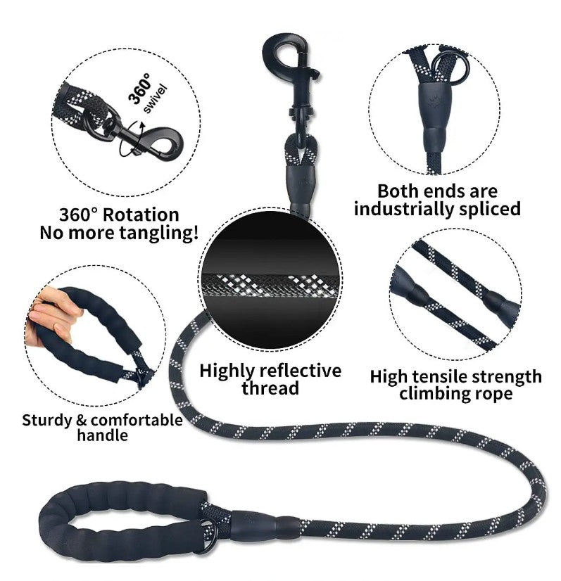 Dog leash with features highlighted on a white background