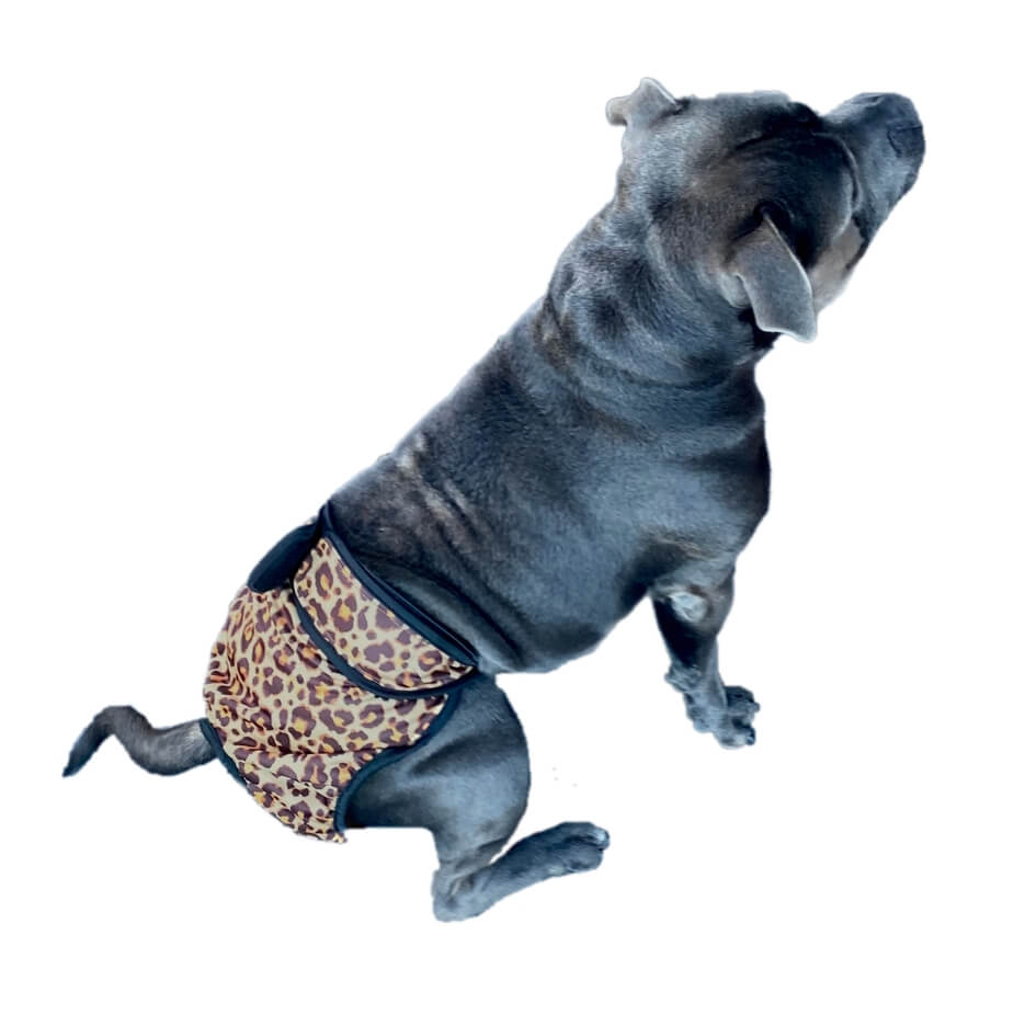 Sanitary Pants Luxury Leopard