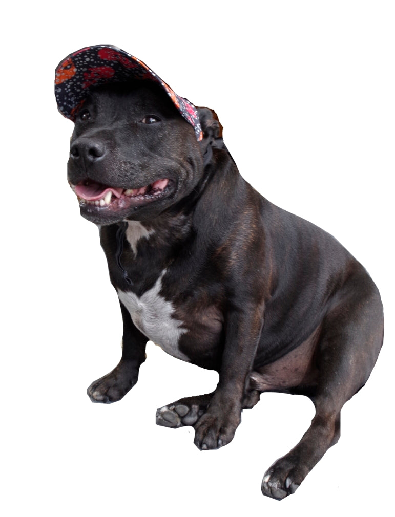 Hat Cap with Chin Strap