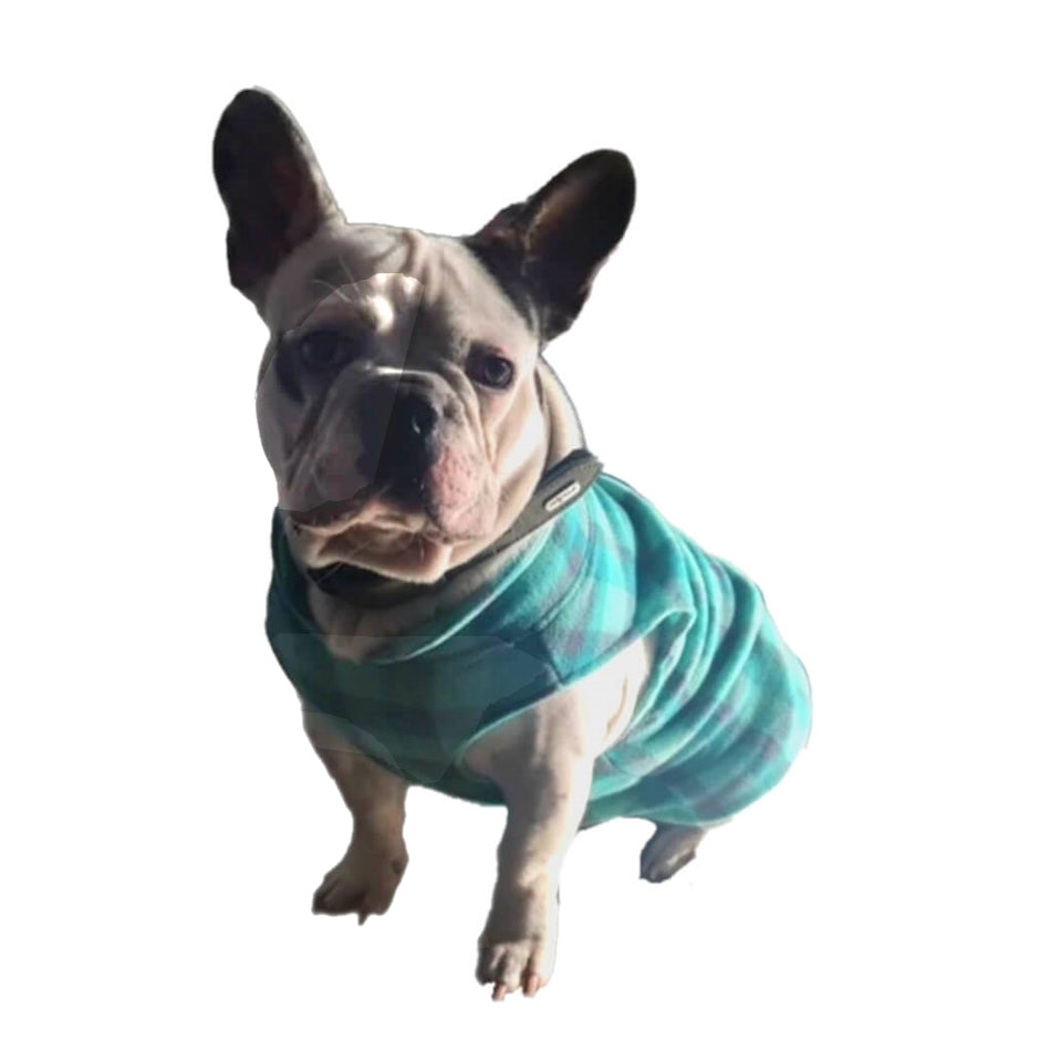 Sweater Fleece Teal Check