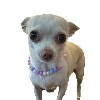 Necklace Unisex Bead