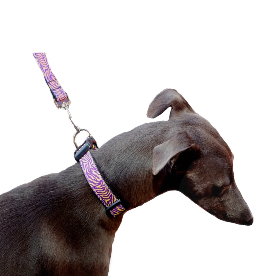 Luxury Collar or Lead Webbed Purple Tiger