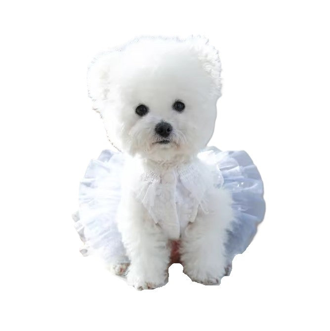 Dress Formal White with Blue Tulle Skirt