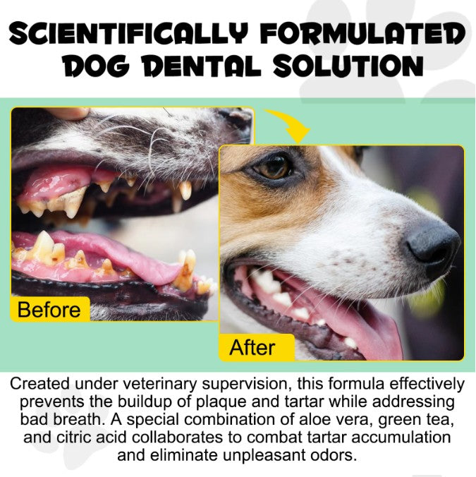 Canine Dental Solution