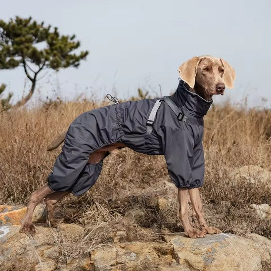 Raincoat Jumpsuit