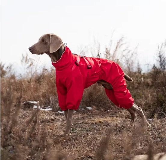 Raincoat Jumpsuit