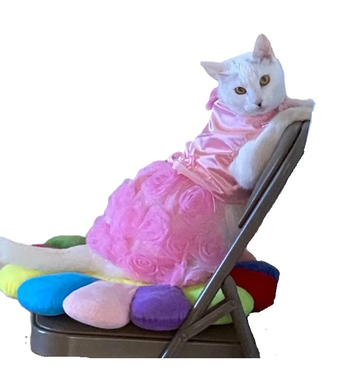 Dress Pink Party Rose