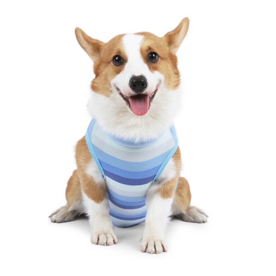 Dog Medical Recovery Jumpsuit Multicolour Stripes