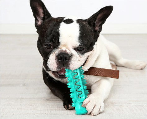 5-in-1 Chew Toy - assorted colours