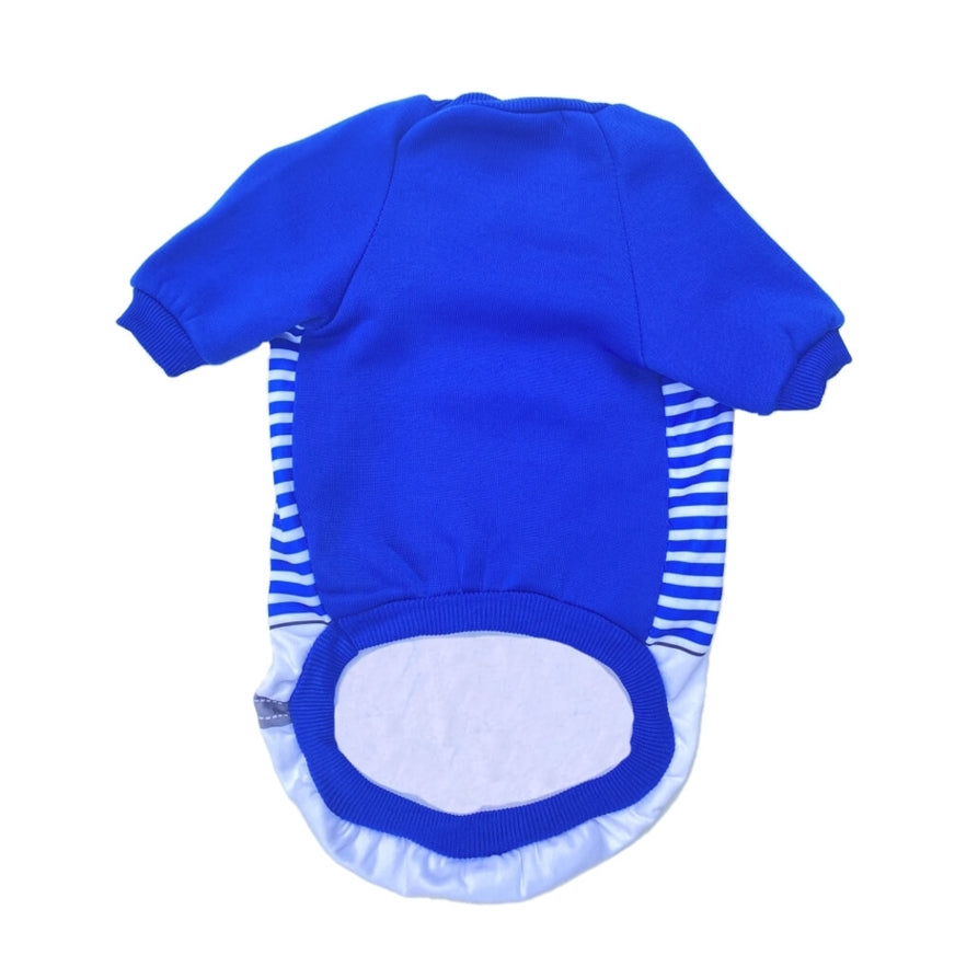 Sweater Fleece Blue Guitar