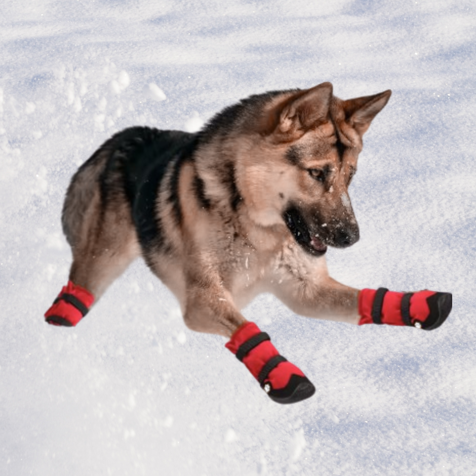 Waterproof Long Leg Boots