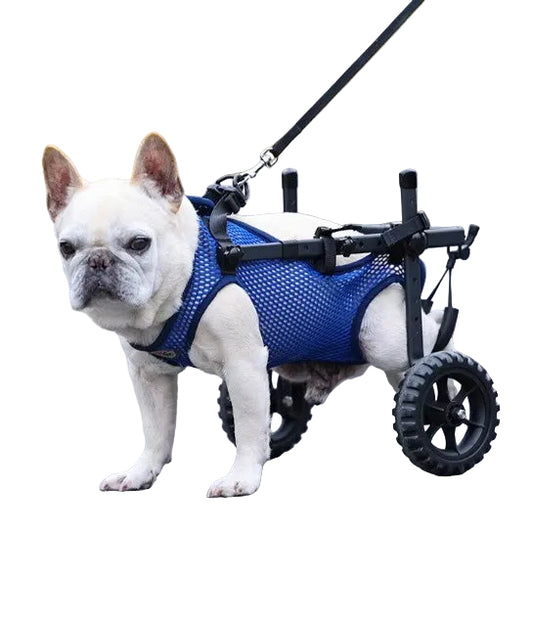 Adjustable Hind Leg Wheelchair