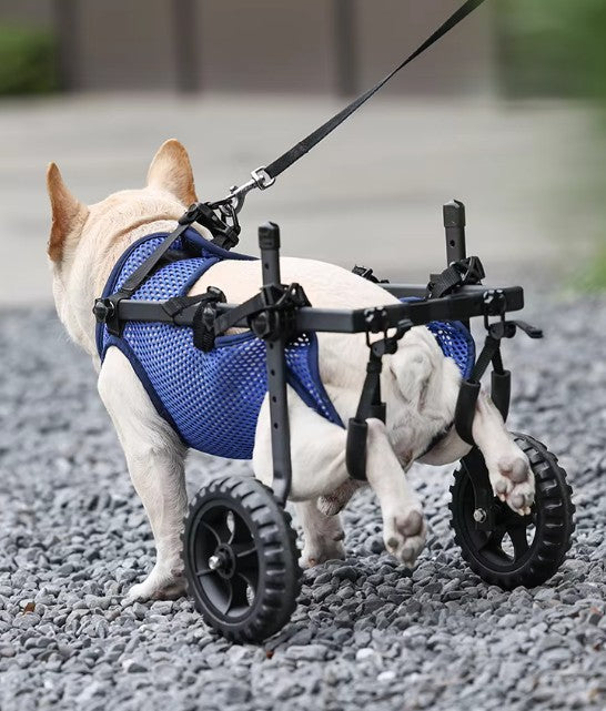 Adjustable Hind Leg Wheelchair