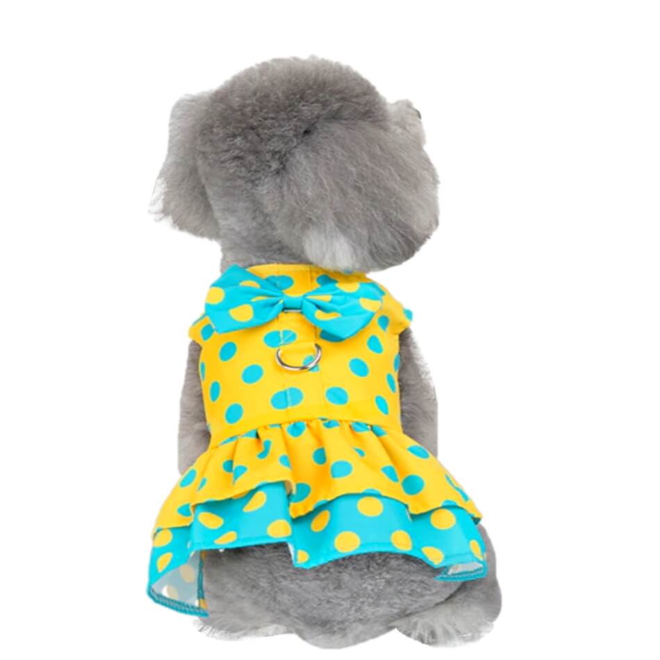 Dress Sunshine Spots with Matching Lead