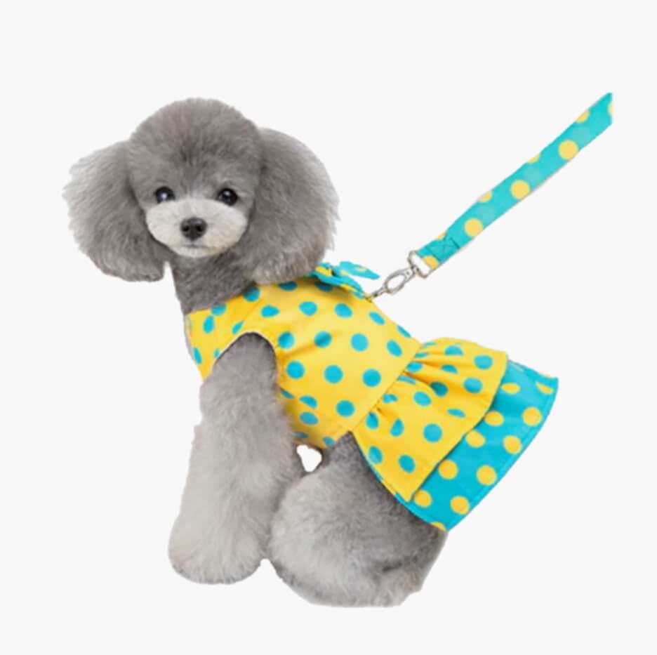 Dress Sunshine Spots with Matching Lead