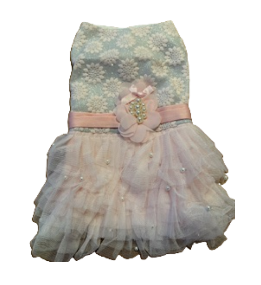 Dress Formal Sparkly Silver Pink Sash and Pearls