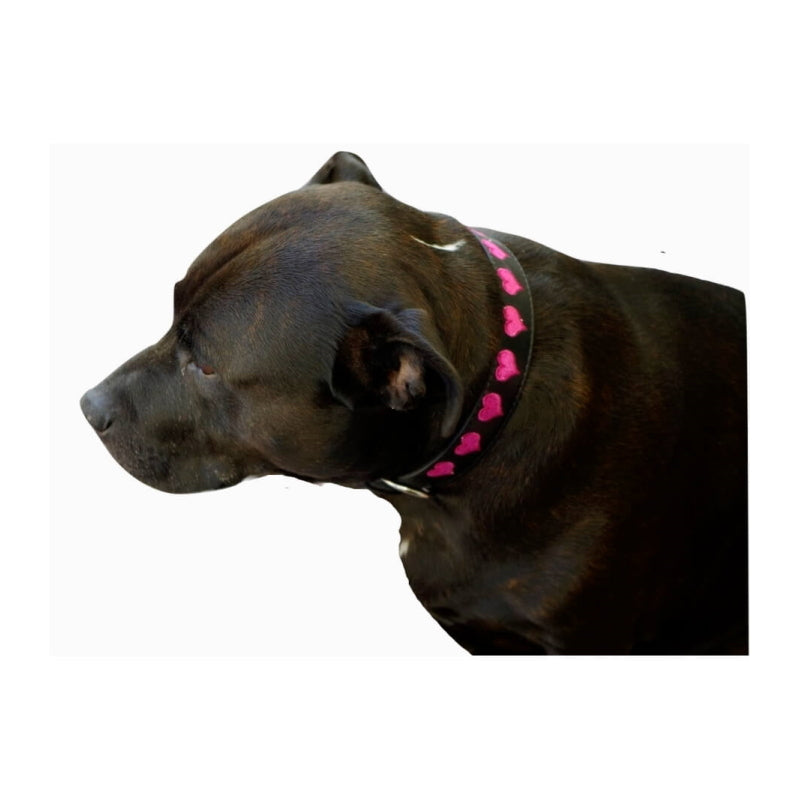 Collar Black Embroidered Pink Hearts
