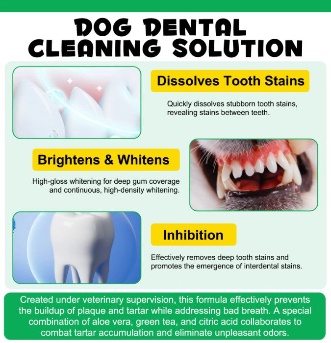 Canine Dental Solution