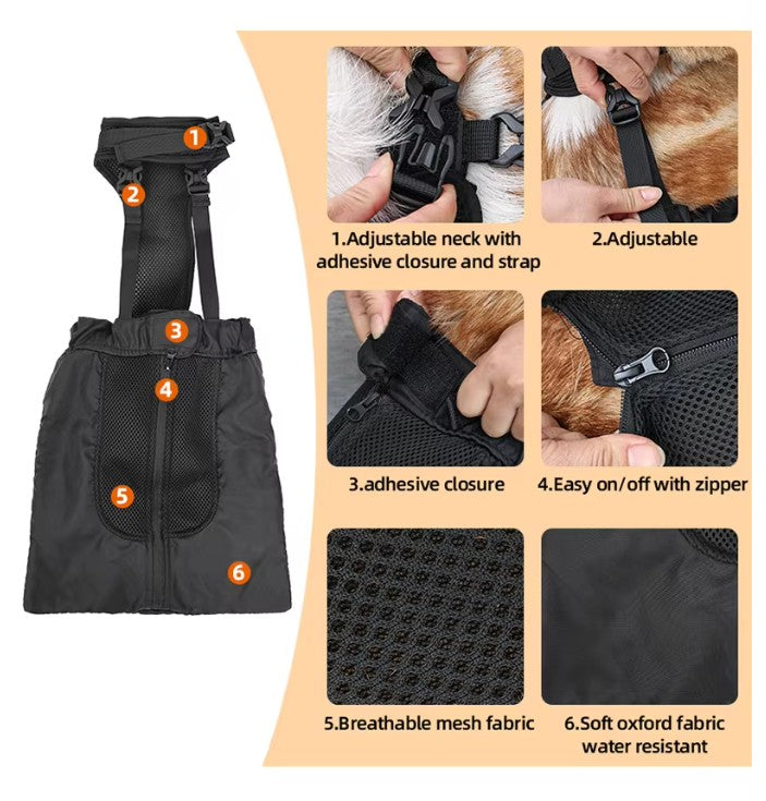Black pet jacket with features highlighted on a beige background