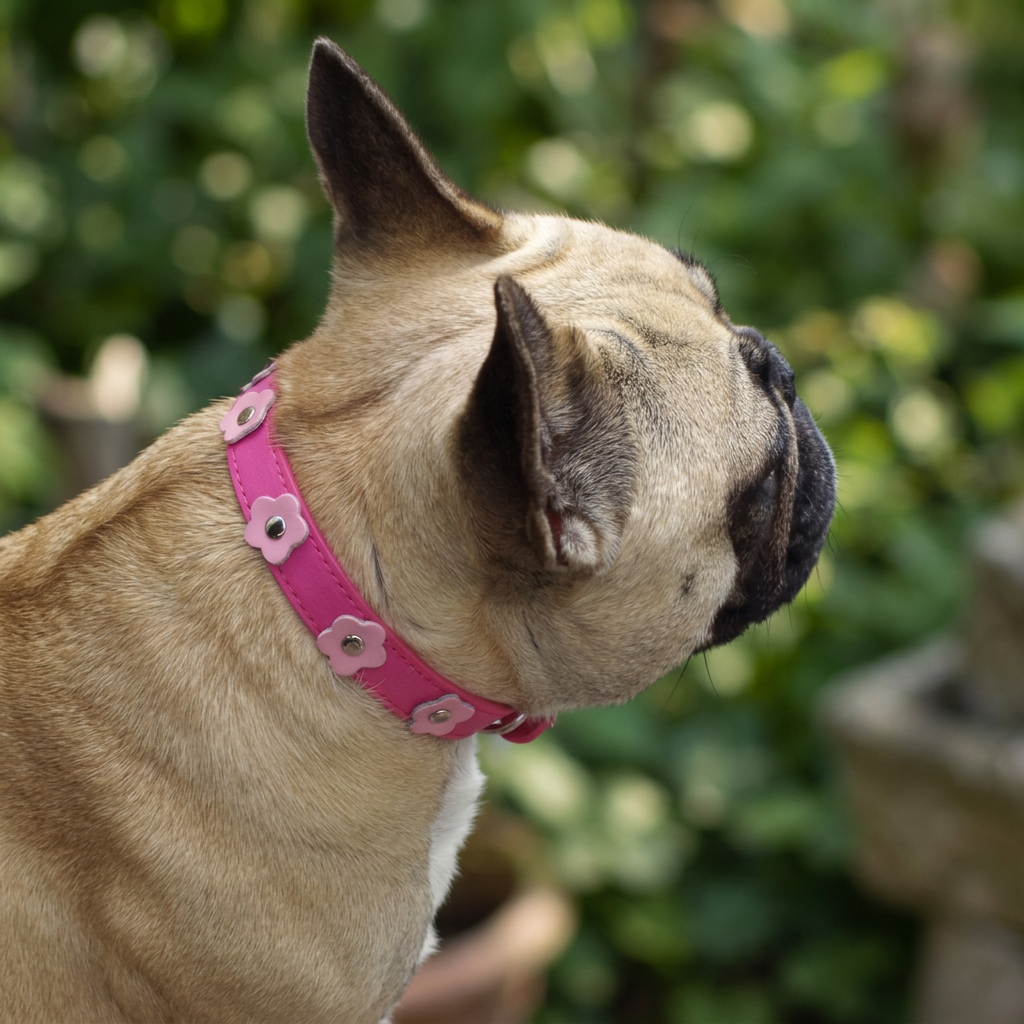 Collar Pink Flowers